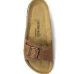 julia100 brown 1