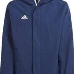 virsjaka ent22 aw jkty tenablu ad ik4012 4